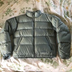 Marmot puffer